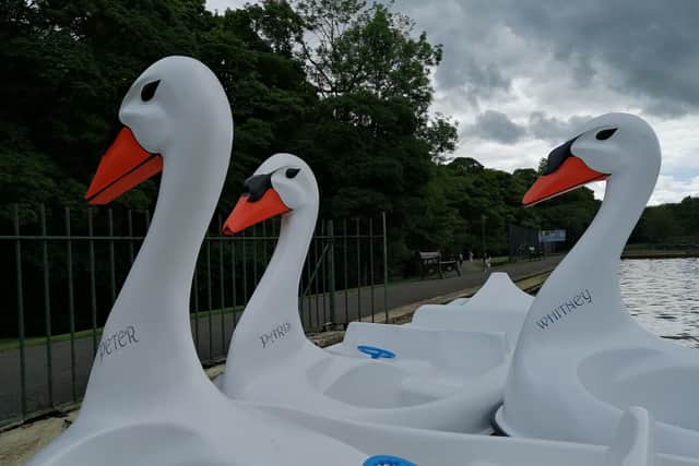 These are the boats which are set to take over Millhouses Park boating lake.