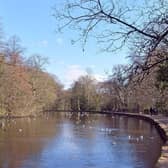 Endcliffe Park, in Sheffield, has been named the top park in the UK for a cheap family day out, by ParrotPrint.com, which described it as a 'charming spot for walks and picnics'