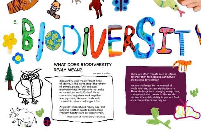 An excerpt from the BioFest zine showing schoolchildren’s artwork on the theme of biodiversity