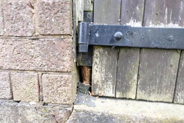 Worried residents are calling for action to deal with fears of a rat infestation around garages on Firshill Crescent in Shirecliffe. Pictured is suspected rat damage to a door