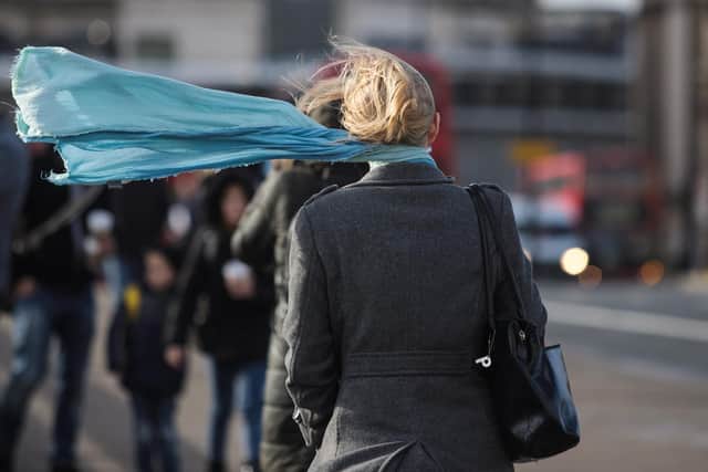 A commuter's scarf blows in the wind (Photo by Jack Taylor/Getty Images)