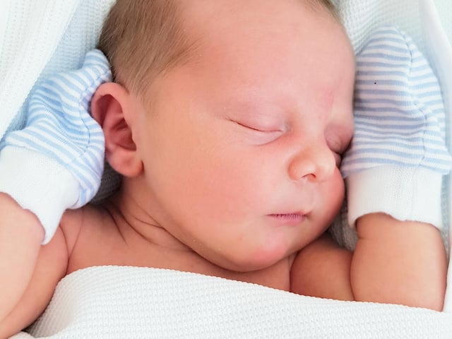 Theo Jack David was born on 18 April