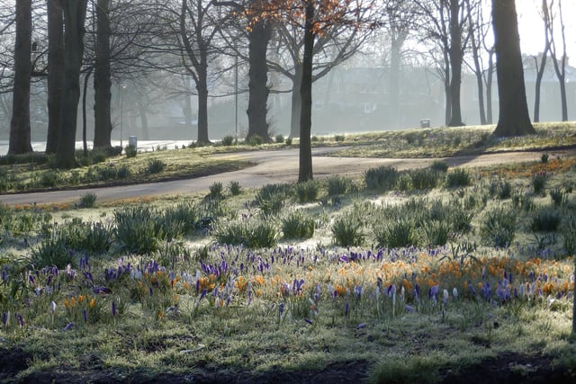 A Frosty Spring morning in Hillsborough Park by Simon Temple