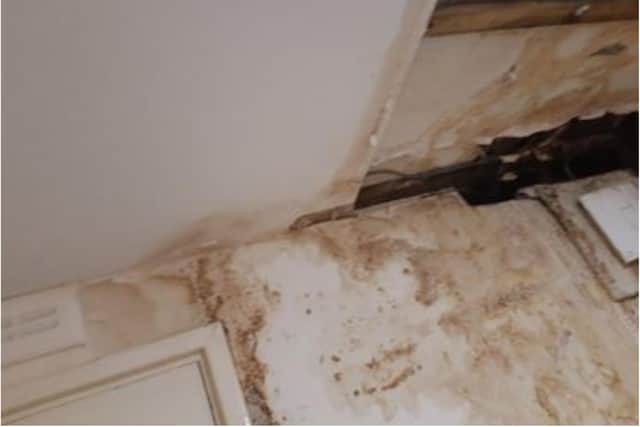The damage caused by the soil pipe that is leaking into Doug's flat.