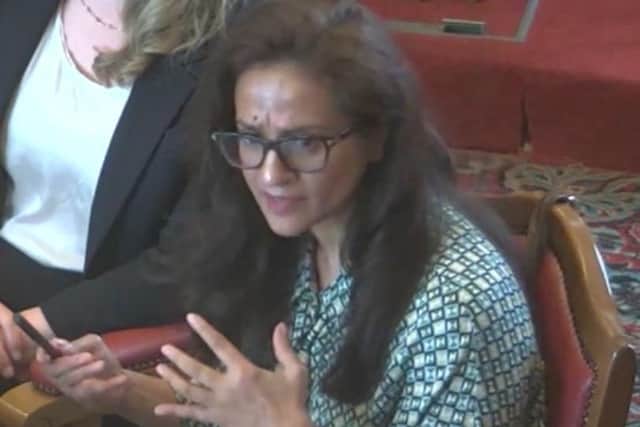 Rotherham Coun Taiba Yasseen had reservations about the ambitions of a five-year NHS health strategy for South Yorkshire. Picture: Sheffield Council webcast