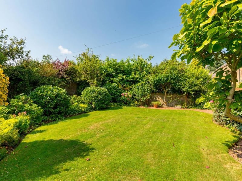 Rear garden.