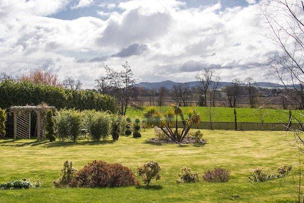 Top garden.