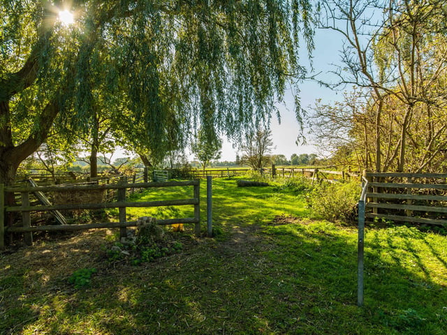 There is an orchard as well as the paddocks.