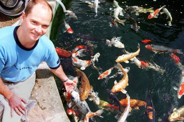 Paul Ryan, owner of Viscum Water Garden and Aquatics photographed with fish in 1997.