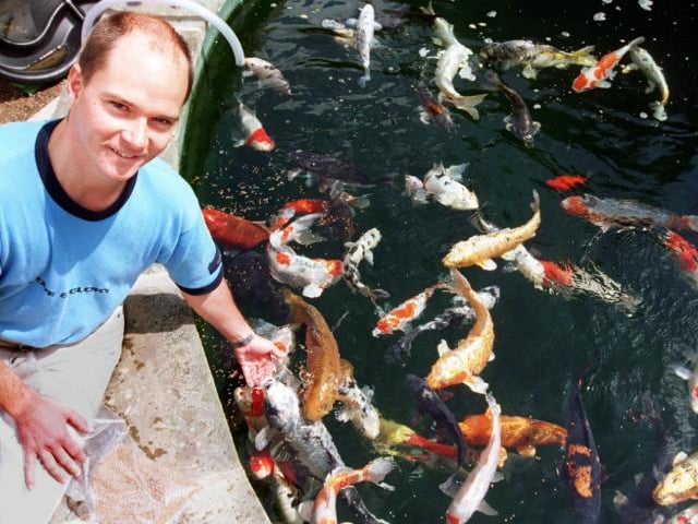 Paul Ryan, owner of Viscum Water Garden and Aquatics photographed with fish in 1997.