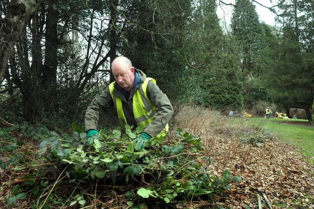 Members of Friends of Whirlowbrook Park clearing bracken and other invasive plants