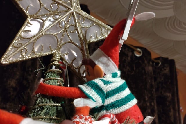Lisafer Maltby caught this little chap "Trying to steal the Christmas star"