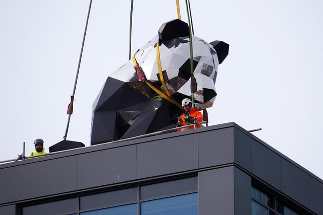 In October three giant panda sculptures were installed at Sheffield's £66 million New Era development near Bramall Lane. They were later named Hendo, Little Mester and Coe Coe - all names with a Sheffield flavour - by readers of The Star.