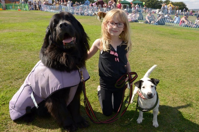 Sheffield Fayre and Sheffield Carnival at Norfolk Park august Bank Holiday 2017 Esme Allen aged 6 with dogs Milly and Ness (Ness came 2nd in waggliest tail category at the dog show)