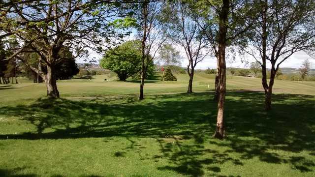 Set in the heart of Fife, Lochgelly Golf Club offers a tough parkland course with great views of the Ochills and Lomond Hills.
