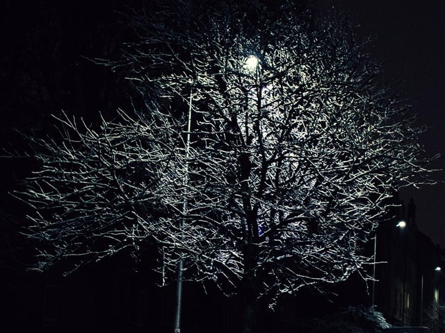 A streetlight, a tree and a layer of snow - what more do you need?!