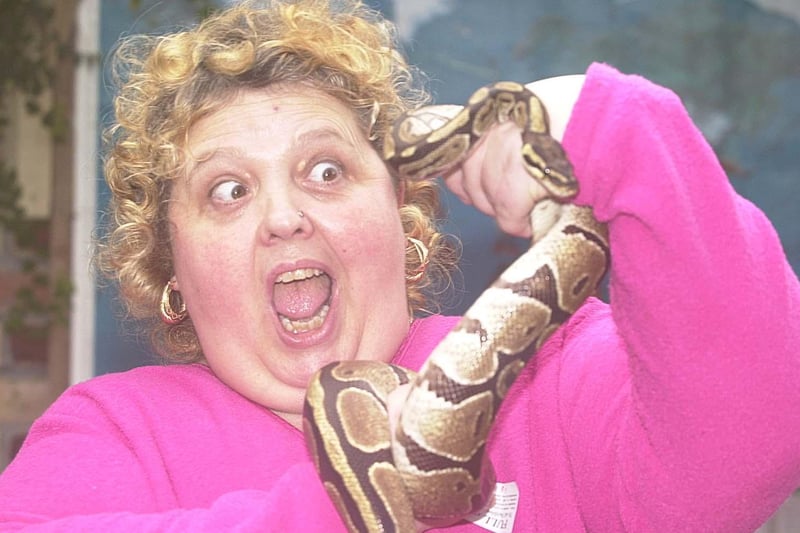 Snakes alive!  Its a Mother's Day dare at the Tropical Butterfly House, North Anson in 2002. Taking on the challenge is mother-of-two Karen Bradley, landlady of the Junction Hotel, Woodhouse