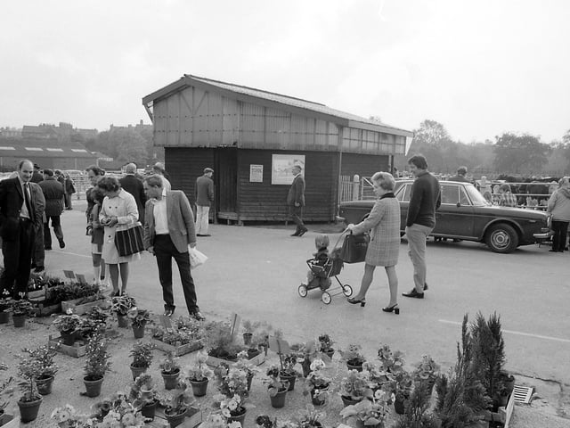 The cattle market was on land which is today occupied by Water Meadows - do you remember it being there?