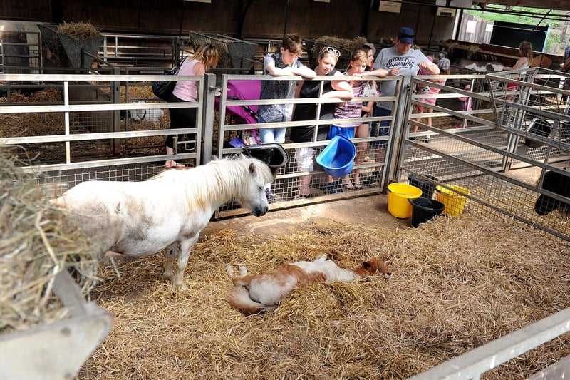 Pat a pony or stroke a lamb in the farmyard then swing and climb outdoors in the grounds of the Duke and Duchess of Devonshire's stately home.