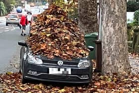 Tony Clabby shared this photo of a car covered with a huge pile of leaves which appeared to have been dumped on its roof on Carter Knowle Road in Nether Edge, Sheffield