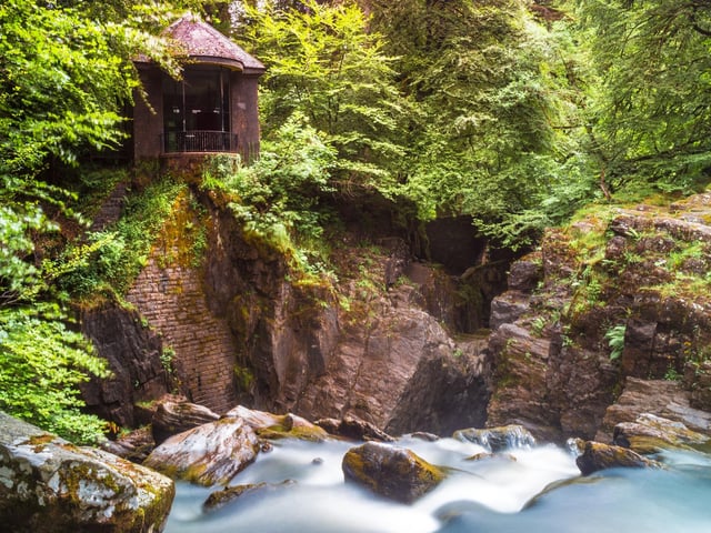 Make your way to the thunderous Black Linn Falls under a canopy of magnificent Douglas firs that are patchworked with native oak, hazel and birch. Watch as the light changes beneath the leaves as you move across the forest floor.  PIC: NTS