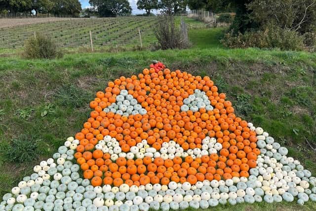 Pumpkin mosaic