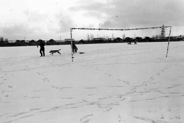 Sledging and dog walking at Temple Park in 1991.