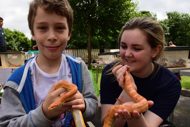 Nathan Shrimpling and Sophie Chapman, of Sunderland Training & Educational Farm, get to grips with a corn snake at the third annual West Area celebration in Barnes Park in 2017.