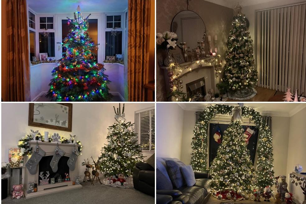 Christmas trees decorated by Doncaster people.