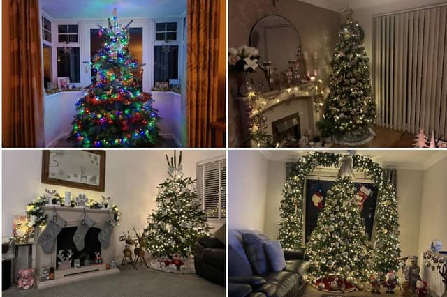 Christmas trees decorated by Doncaster people.