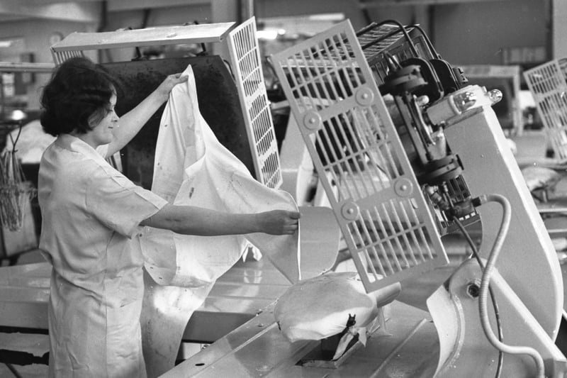 Did you work at Luxdon Laundry when this photo was taken in March 1981?