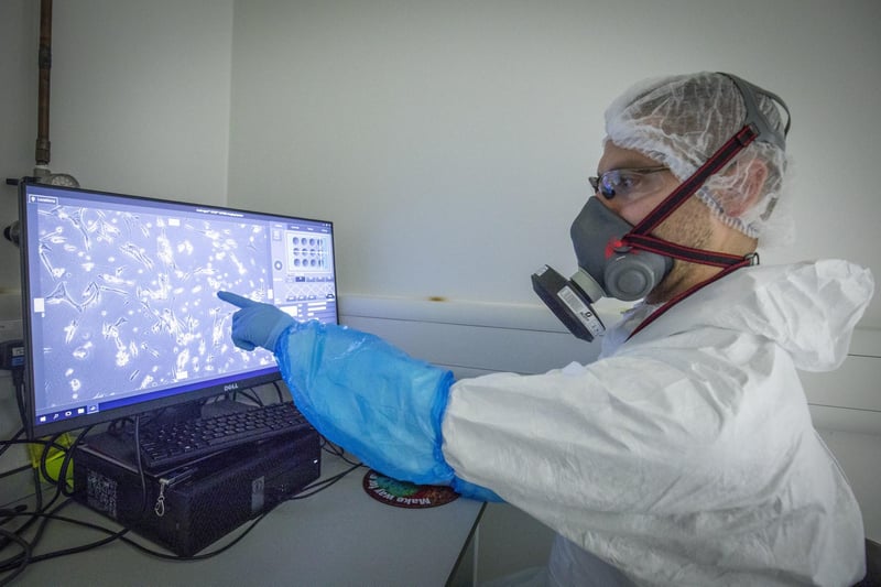 Dr Wilhelm Furnon uses a UV microscope to detect, observe and track the spread of a GM fluorescent-tagged virus in a cell culture to assess the efficacy of vaccine-induced antibodies at blocking SARS-CoV-2, the virus which causes COVID-19, i