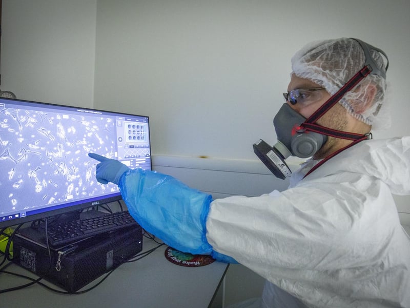 Dr Wilhelm Furnon uses a UV microscope to detect, observe and track the spread of a GM fluorescent-tagged virus in a cell culture to assess the efficacy of vaccine-induced antibodies at blocking SARS-CoV-2, the virus which causes COVID-19, i