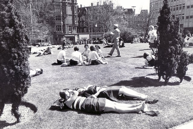 Sunbathing in Sheffield  in May 1981