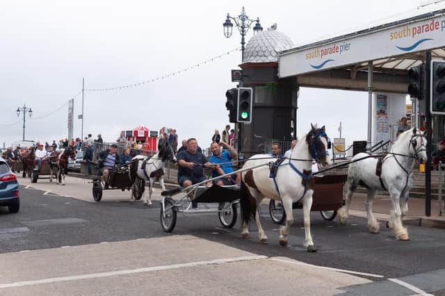 Horse and trap owners on Southsea seafront
