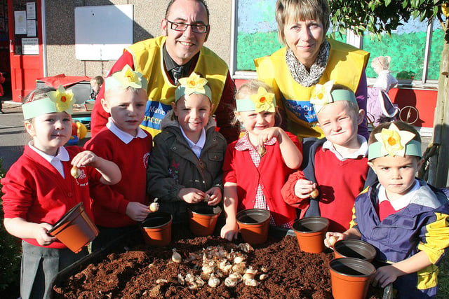 Children from Charlotte nursery and infants school in Ilkeston plant daffodils to raise money for Marie Curie Cancer Care in 2009.