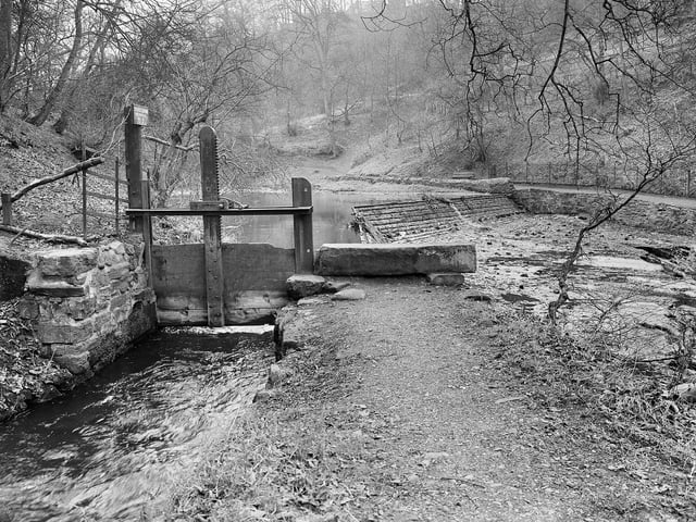 The Mill Lade on the Water of Leith, in Colinton Dell, in January 1956.
