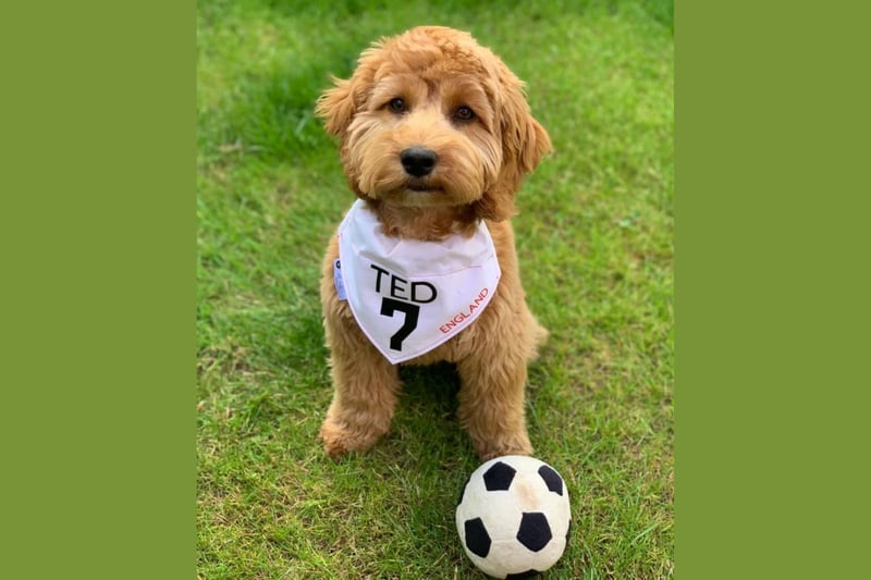 No slight on Jack Grealish, but Ted makes a very cute number 7!