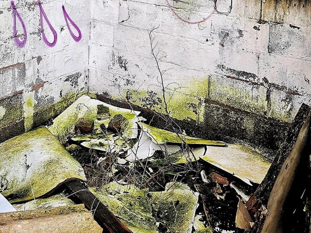 The farm has been empty for more than a decade.