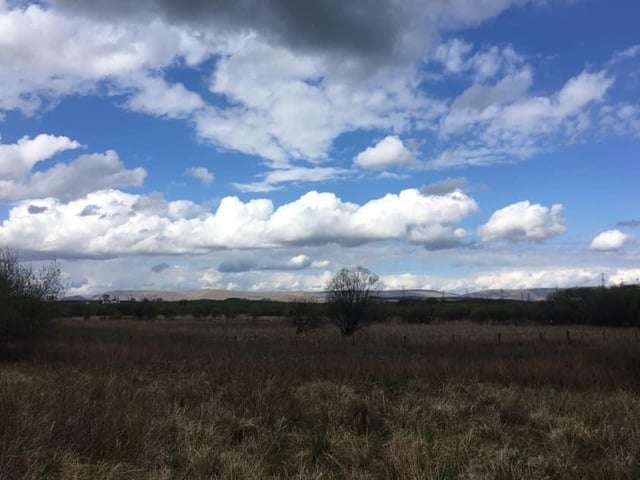 Easily combined with a walk along the nearby Forth & Clyde Canal, Possil Marsh is a haven for wildlife, including colourful kingfisher.