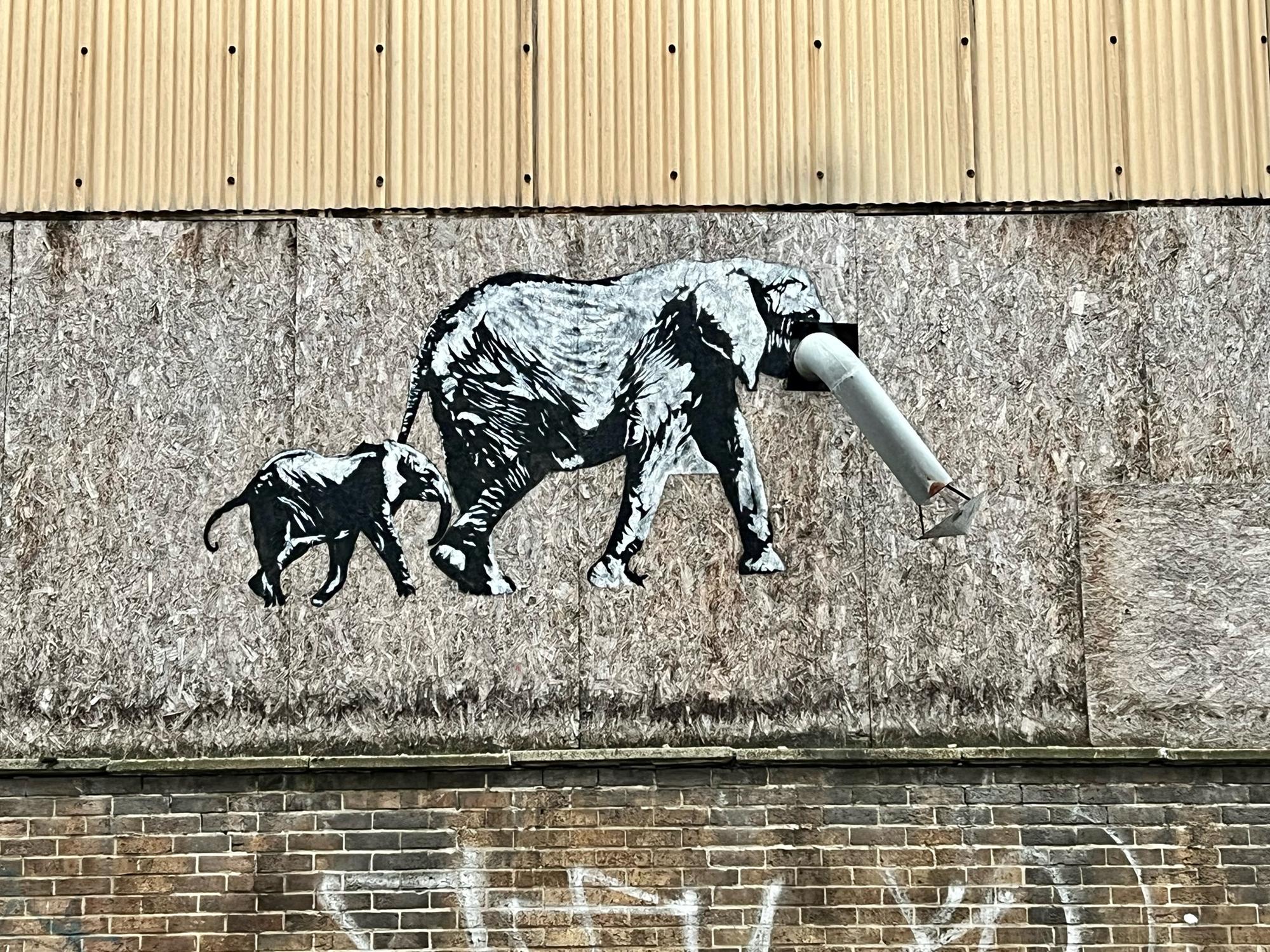 Robin Loxley: Sheffield's 'Banksy' strikes again with excellent new elephant artwork in city