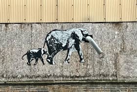 Robin Loxley's new artwork has appeared on the size of a derelict building in Upper Allen Street, Netherthorpe