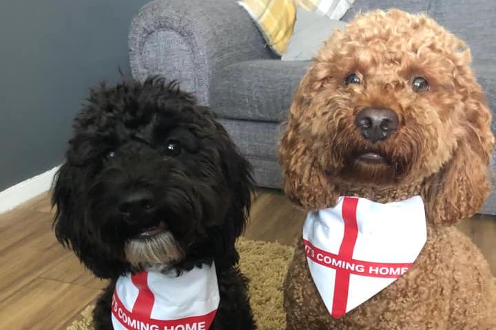 Ready to bark for England!