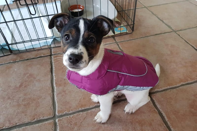 Brodee is ready for anything in her coat!