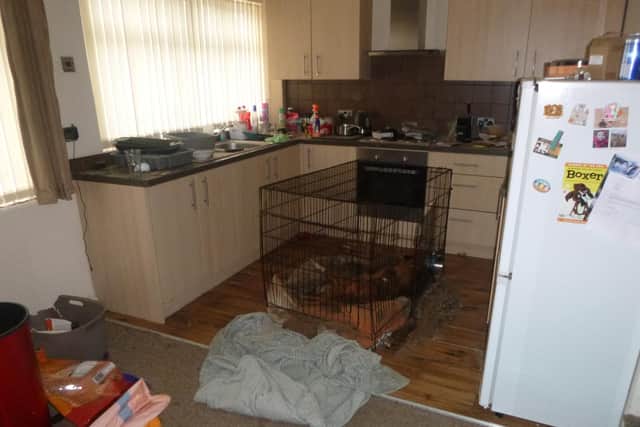 A Sheffield man has been disqualified from keeping animals for life after leaving his two dogs to starve to death in a crate in his kitchen.