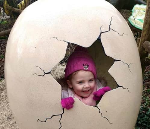 Gemma Allen's daughter Emelia on a school trip to the Butterfly House just before the schools closed.
