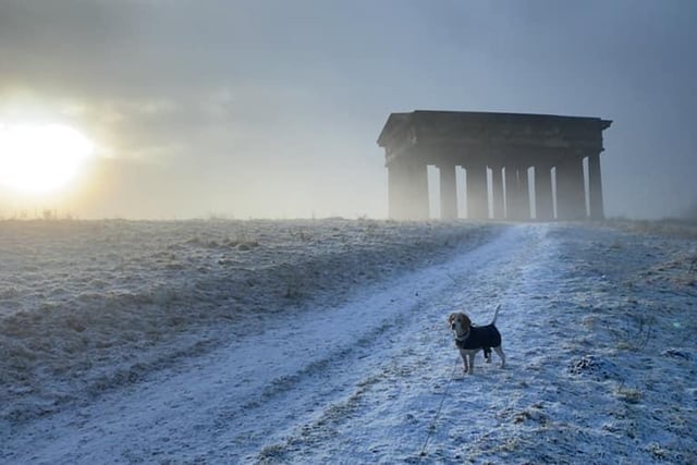 Picture time at Penshaw Monument.