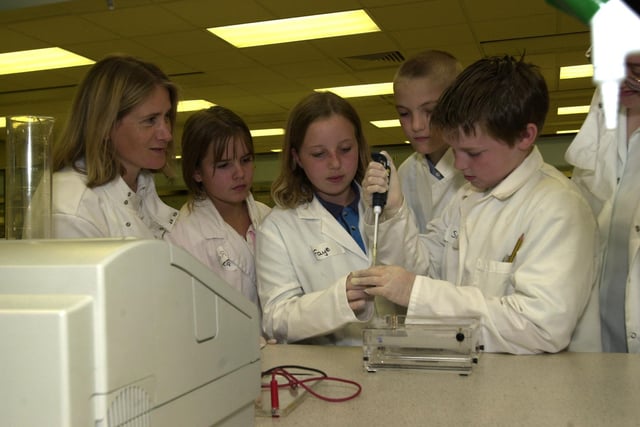 Pictured at one of the science labs at Firth Court, Sheffield University in 2002 where children from Chaucer school were taking part in a summer school. Seen  loading DNA samples LtoR  are,   Dr Julie Gray lecturer at the University, with pupils  Rebecca Cooper,   Faye Allison, Bradley Roberts, and Simon Orwin.