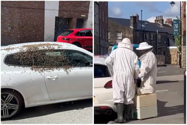A Sheffield man left work in Broomhill today (may 7) to find a swarm of bees had settled on his Volkswagen, leaving him puzzled what to do next.