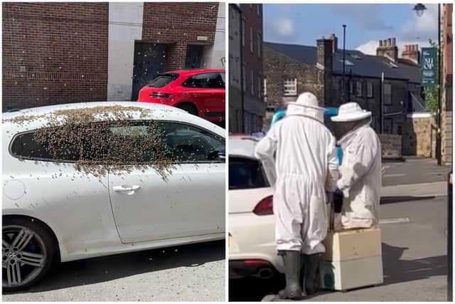 A Sheffield man left work in Broomhill today (may 7) to find a swarm of bees had settled on his Volkswagen, leaving him puzzled what to do next.